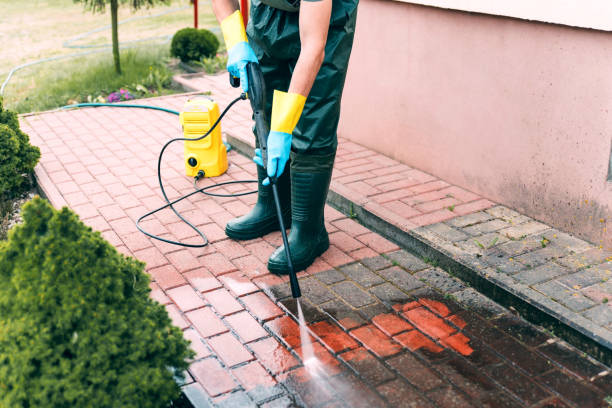 Best House Exterior Washing  in Ozark, AL